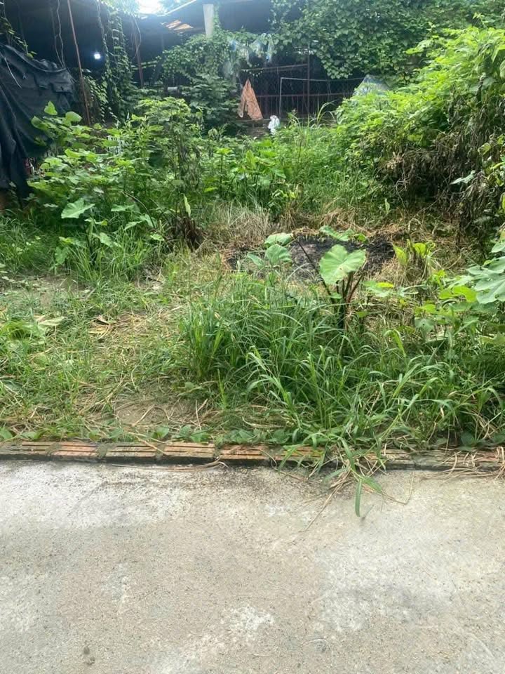 Đất nền Cổ Loa, Đông Anh 49.5m² giá thỏa thuận - Đường ô tô tránh, an ninh tốt!