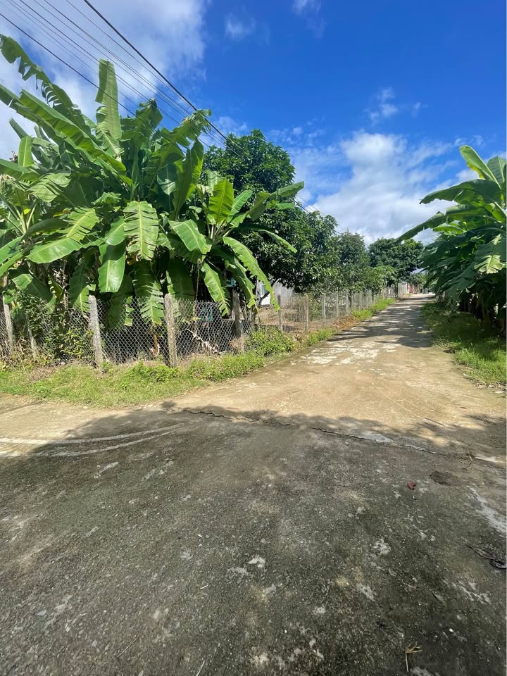 Đất thổ cư Thôn 1, Diên Đồng 849m² giá 2.4 tỷ - Đầu tư sinh lời hấp dẫn!