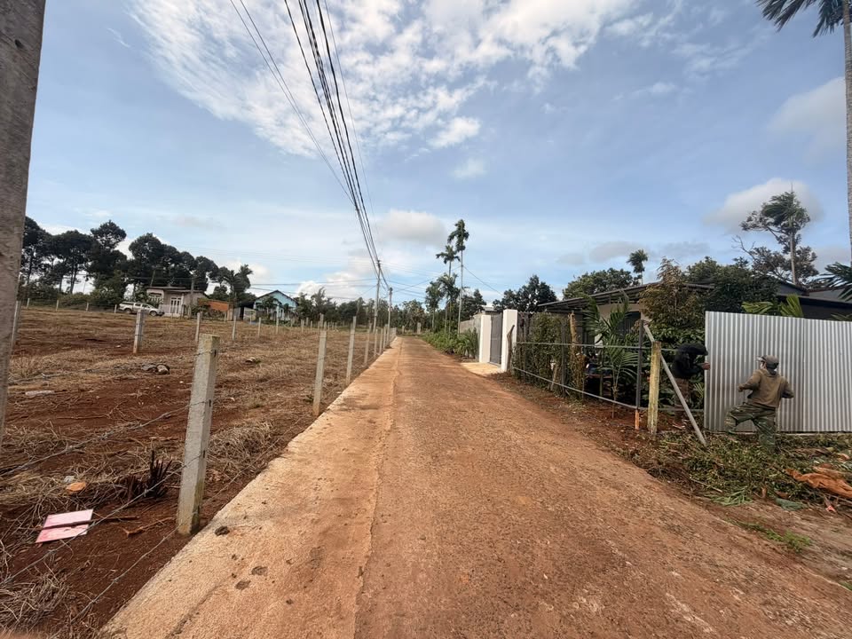 Đất nền Tân Lập Buôn Ma Thuột 55m² giá 975 triệu - Tiềm năng phát triển vượt bậc!