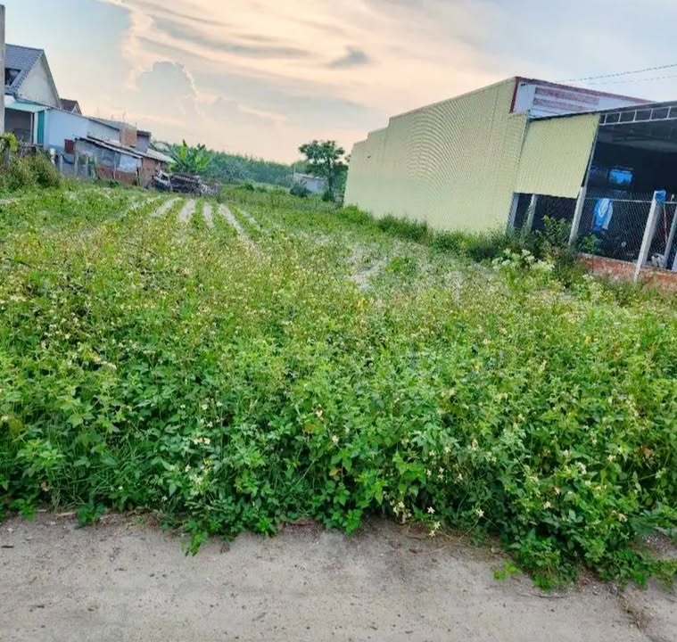 Đất Tịnh Phong Sơn Tịnh 180m² giá 600 triệu - Đầu tư sinh lời hấp dẫn!