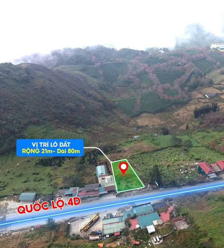 Đất đẹp mặt tiền Quốc lộ 4D – Sa Pa 1932m² giá 3 tỷ - Cơ hội đầu tư hấp dẫn!