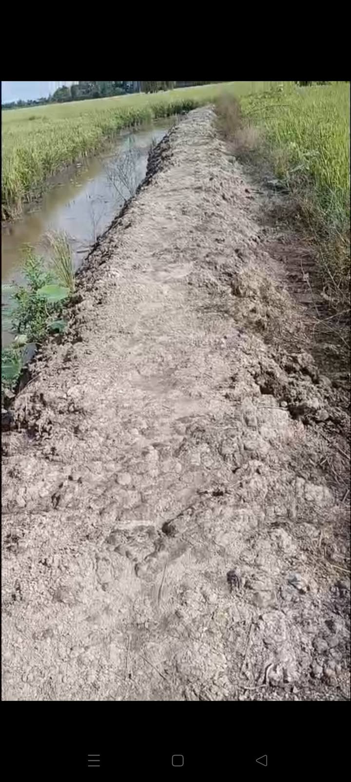 Đất nông nghiệp 11.000m² xã Bình Thành, Thanh Bình - Đầu tư sinh lời hấp dẫn!