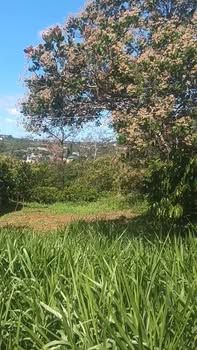 Đất thổ cư 210m² Nghĩa Trung, Gia Nghĩa giá 1.05 tỷ - Đường bê tông rộng rãi!