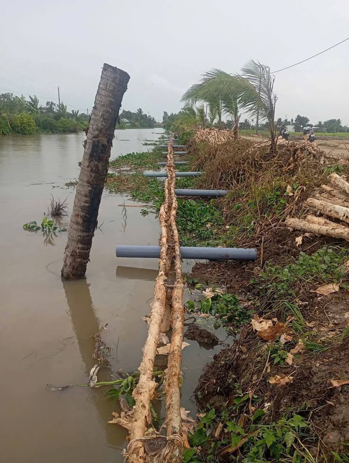 Đất nền Thạnh Lộc, Châu Thành 280m² - Đầy đủ hạ tầng, thổ cư 100%!