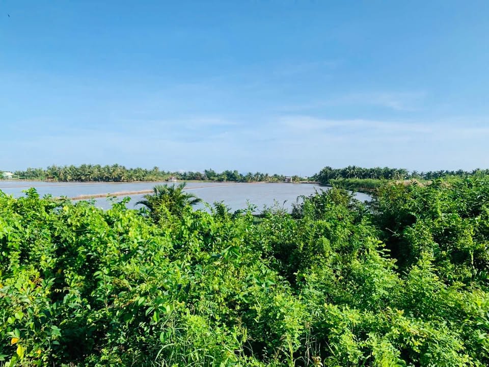 Đất nền Hòn Đất, Kiên Giang 170.000m² giá 5.44 tỷ - Sổ hồng chính chủ!