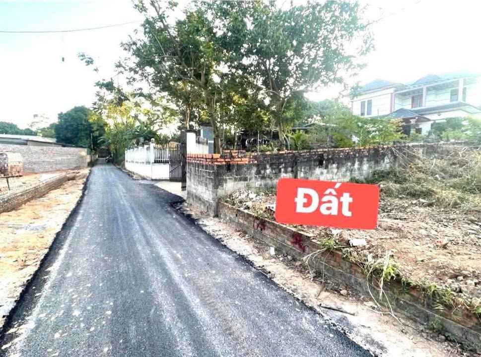 Đất nền Hoàng Hoa, Tam Dương 50m² giá 700 triệu - Đầu tư sinh lời ngay!