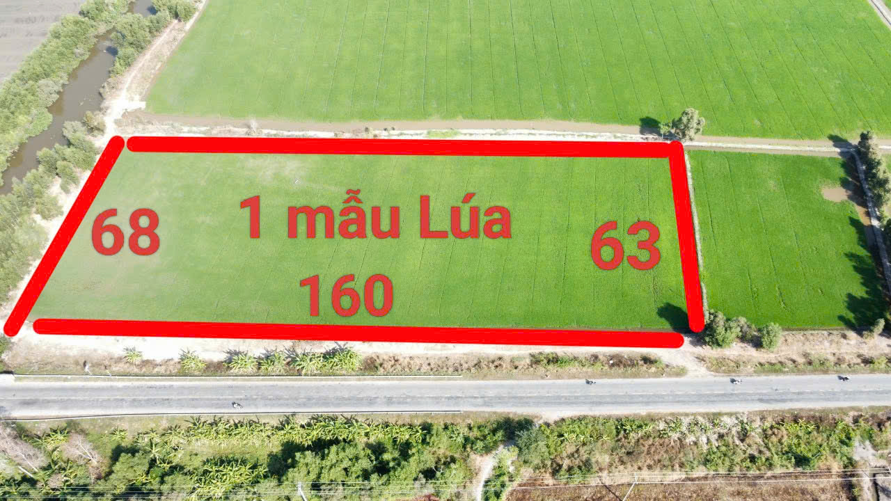 Đất nông nghiệp 10.000m² tại Long Thạnh, Thủ Thừa, Long An - 2 mặt tiền QL N2, giá chỉ 13 tỷ!