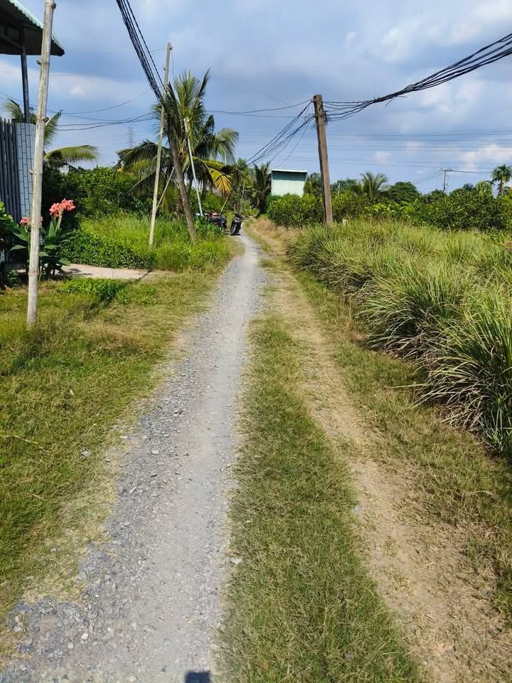 Đất vườn Lương Hòa Bến Lức 1000m² giá 1.2 tỷ - Đầu tư sinh lời ngay!