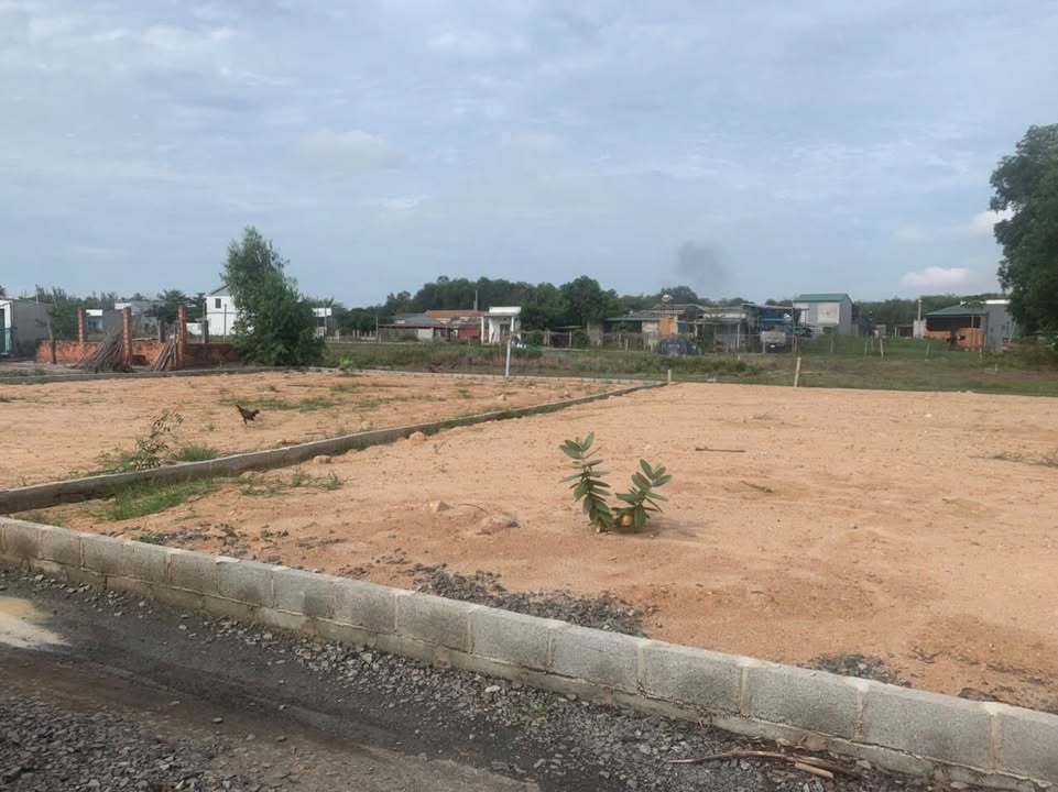 Đất thổ cư Tân Bình La Gi 202.5m² giá 1.7 tỷ - Đường ô tô vào được!