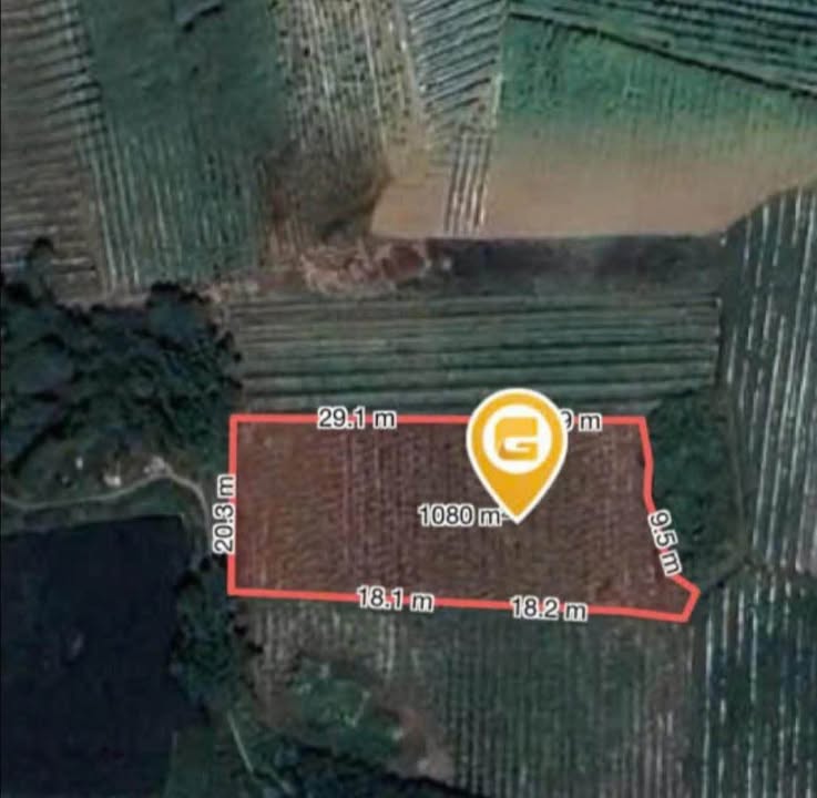 Đất vườn Phước Hiệp, Tuy Phước 1000m² - Cơ hội đầu tư hiếm có!