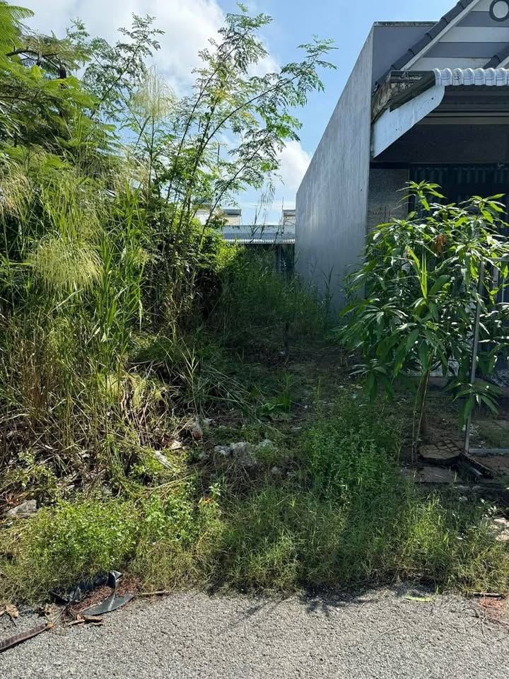 Đất nền đường Số 7, phường 3, Vị Thanh 85.5m² giá 750 triệu - Cơ hội đầu tư hấp dẫn!