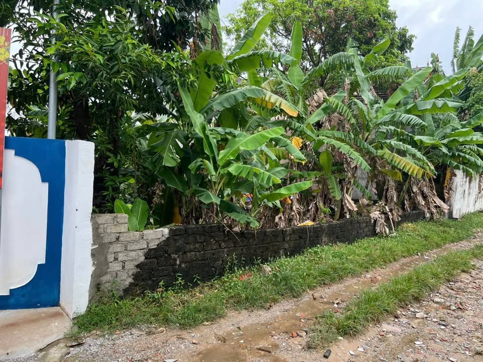 Đất nền K7 TDP Toàn Thắng, TX Hoàng Mai 200m² - Khu dân cư đông đúc, giá thỏa thuận!