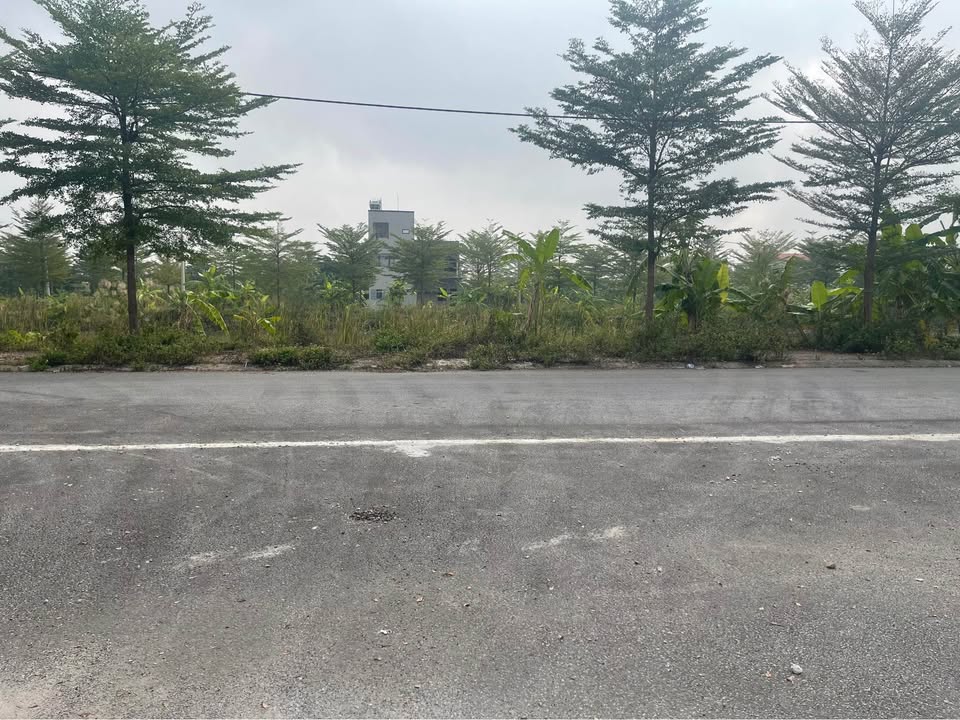 Đất nền liền kề khu Gia Thịnh, Ninh Bình 264m² giá 15 tỷ - Cơ hội đầu tư tuyệt vời!