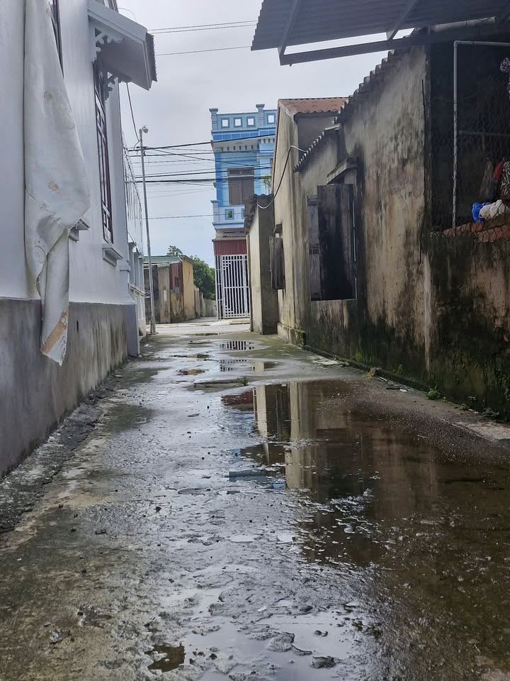 Đất nền Nam Thanh Tiền Hải 86m² giá thỏa thuận - Ngõ thông thoáng, gần trục xã