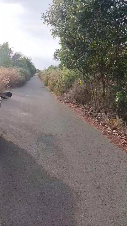 Đất nền xã Tân Lâm, Xuyên Mộc 7282m² giá 960 triệu - Sổ đỏ chính chủ, cơ hội đầu tư lớn!