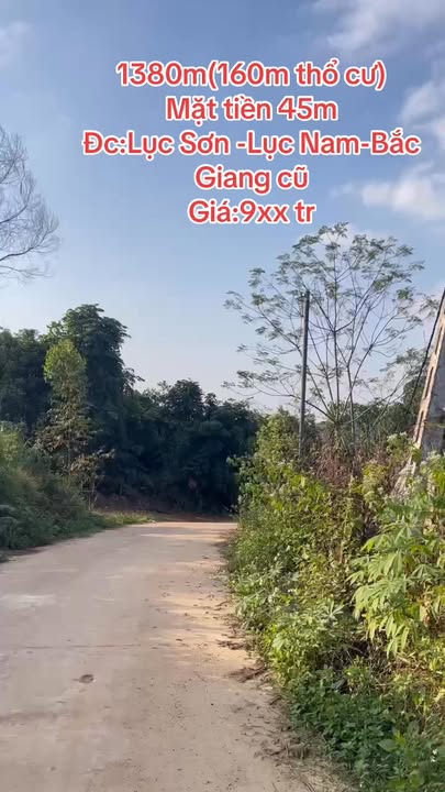 Đất nền Lục Sơn Lục Nam 1380m² giá 900 triệu - Sổ đỏ chính chủ!