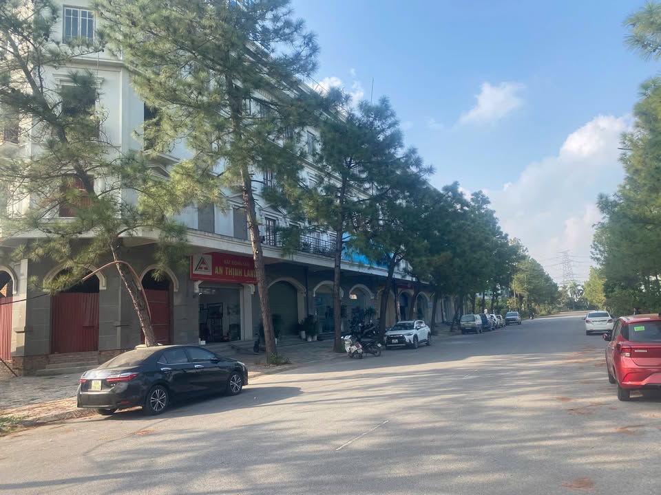 Đất nền Khu đô thị Nam Từ Sơn Bắc Ninh 120m² giá chỉ 3x triệu/m² - Cơ hội đầu tư lý tưởng!