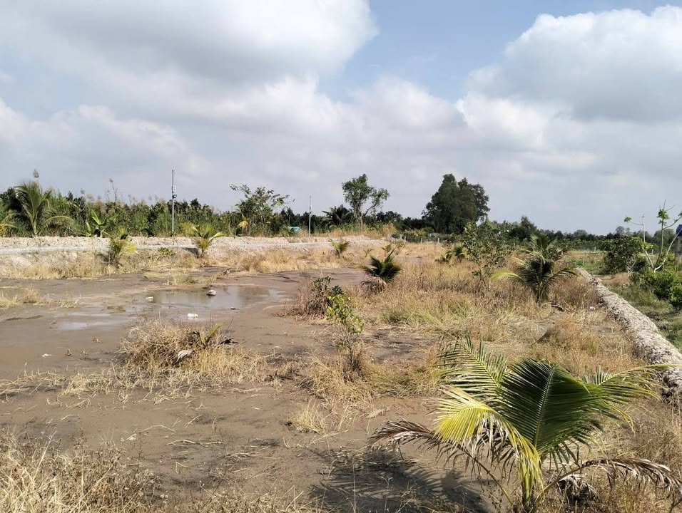 Đất nền 4 lô tại xã Tân Nhuận Đông, Châu Thành - Diện tích 208m², giá 350 triệu - Cơ hội đầu tư hấp dẫn!