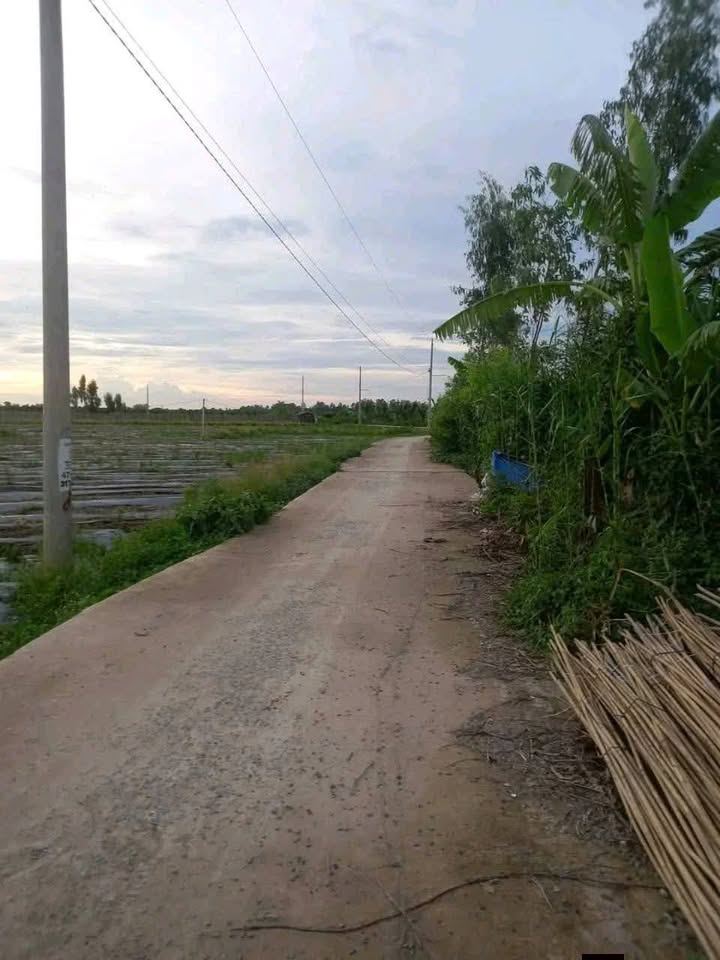 Đất nền xã Thanh Bình 3000m² giá 340 triệu - Cơ hội đầu tư tuyệt vời!