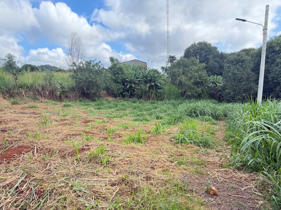 Lô đất 787m² tại Buôn Ma Thuột - Giá chỉ 1.15 tỷ - Cách bến xe chỉ 350m!