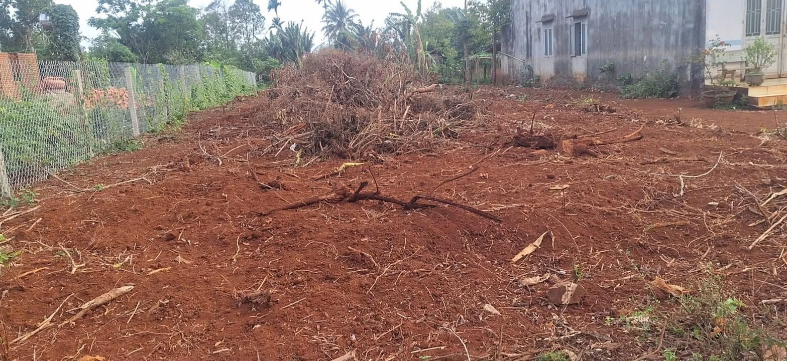 Đất nền hướng Nam tại Phước An, Krông Pắc 300m² giá 699 triệu - Cơ hội đầu tư tuyệt vời!