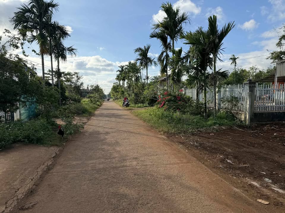 Đất nền Hòa Đông, Krông Pắc 148m² giá 750 triệu - Cơ hội đầu tư sinh lời!