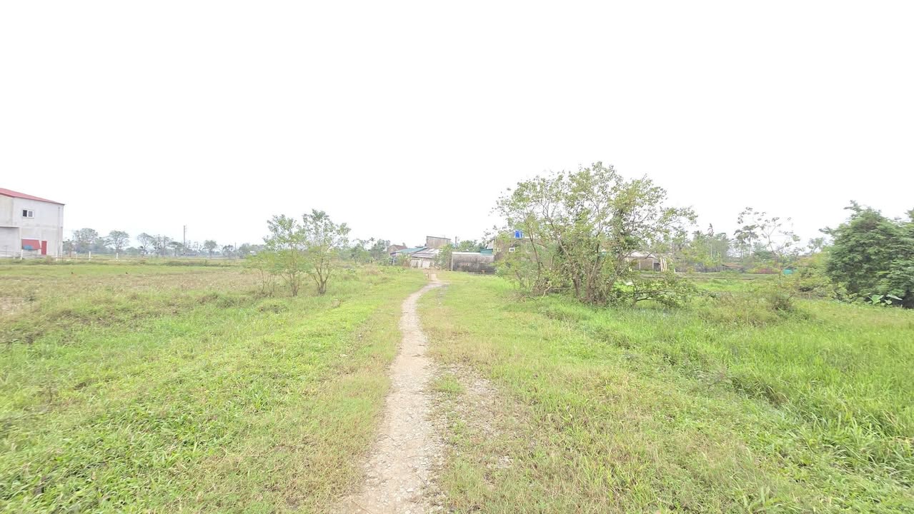 Đất nền thôn Sâm Lộc, xã Thạch Lạc, 267m² giá 1.8 tỷ - Lô góc 3 mặt tiền rộng rãi!