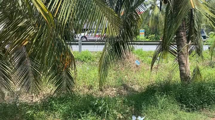 Đất cây lâu năm 610m² tại thị trấn Chợ Gạo, Tiền Giang - Giá chỉ 750 triệu!