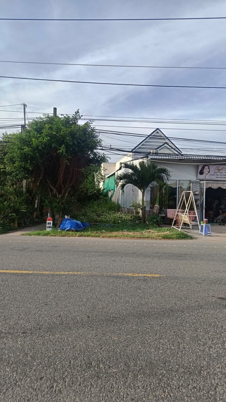 Đất nền Phong Thạnh Đông A, Giá Rai 145m² - Cơ hội đầu tư hấp dẫn!