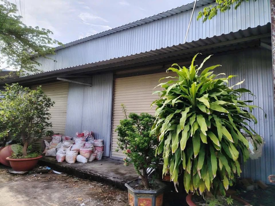 Nhà kho đường Châu Văn Đặng, Bạc Liêu 165m² giá 900 triệu - Đầu tư sinh lời ngay!
