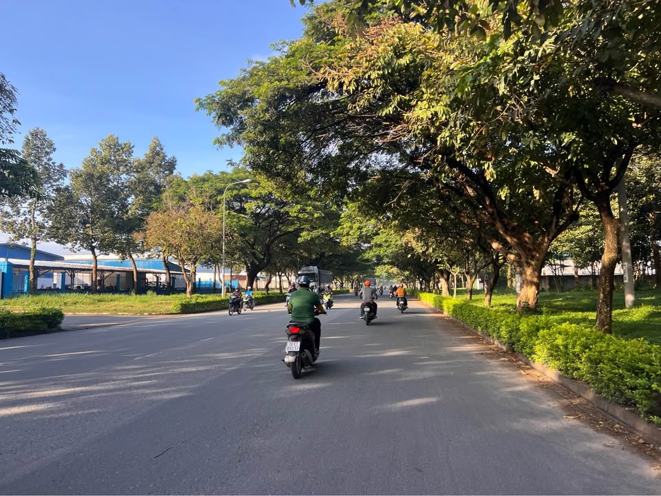 Đất thổ cư 480m² tại Phước Thạnh, Gò Dầu - Đầu tư sinh lời ngay!