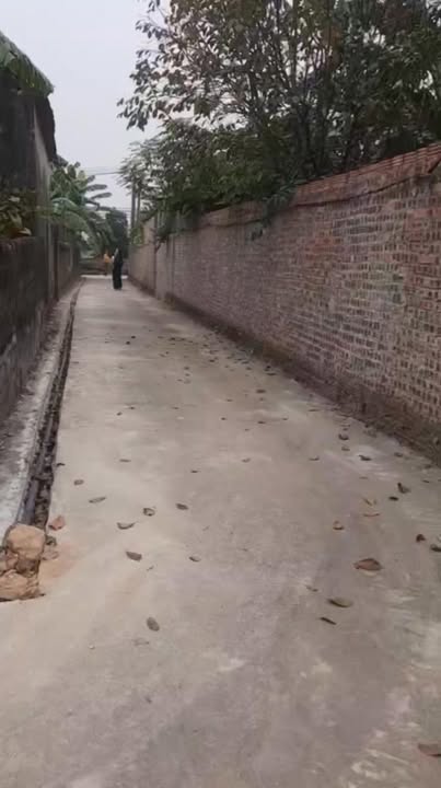 Đất nền Xuân Phú Yên Dũng 200m² chỉ 700 triệu - Cơ hội đầu tư tuyệt vời!