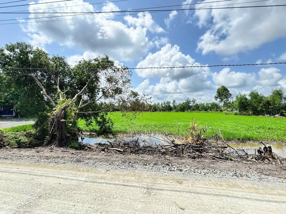 Lô đất Hựu Thạnh, Đức Hòa 507m² giá 3 tỷ - Chính chủ cần bán gấp!