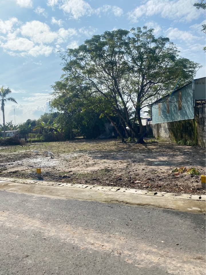 Đất nền Tân Phú Trung 180m² giá 1.8 tỷ - Sổ riêng chính chủ, không lo ngập lụt!