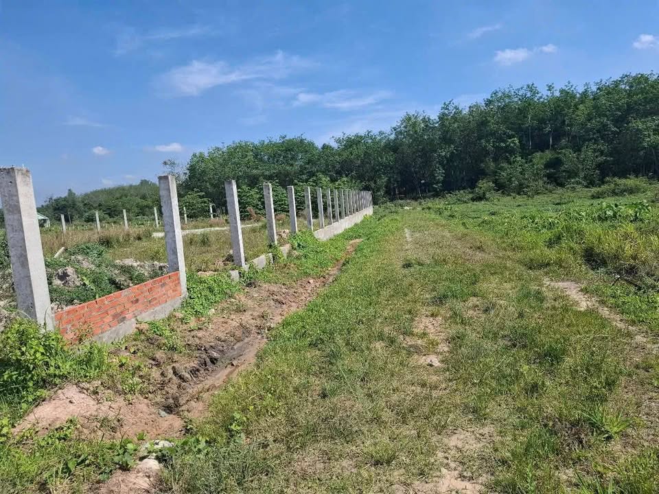 Đất vườn 1300m² Long Nguyên giá chỉ 500 triệu - Cơ hội đầu tư hấp dẫn!