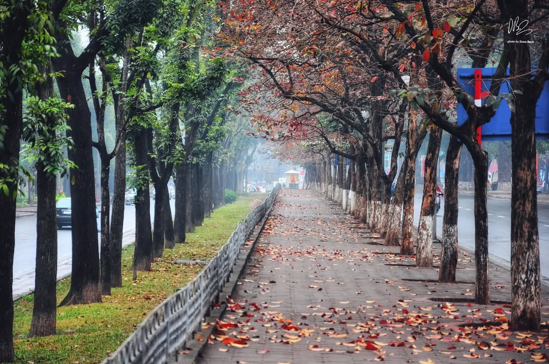 Nhà 4 tầng Kim Mã, Ba Đình 55m² giá 20 tỷ - Đầu tư sinh lời lý tưởng!