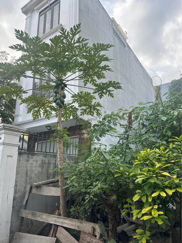 Đất nền Đồng Hoà Kiến An 68m² giá 1.95 tỷ - Không lỗi quy hoạch, xây dựng ngay!