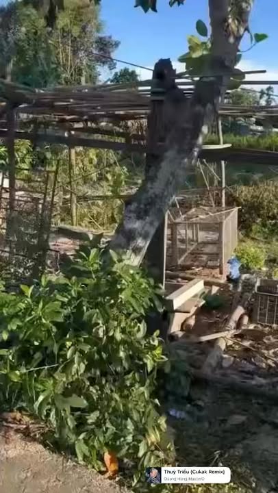 Đất nền Hòa Xuân Đà Nẵng 200m² giá 2.15 tỷ - Cơ hội đầu tư hấp dẫn!