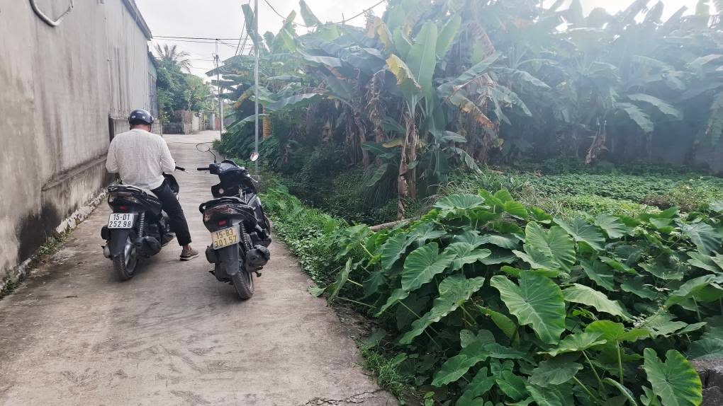 Đất nền An Lão, Hải Phòng 105m² giá 1 tỷ - Đầu tư sinh lời nhanh chóng!