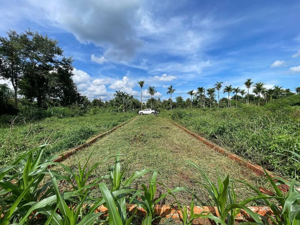 Đất nền Cư M'gar Đắk Lắk 120m² giá 575 triệu - Đầu tư sinh lời tiềm năng!