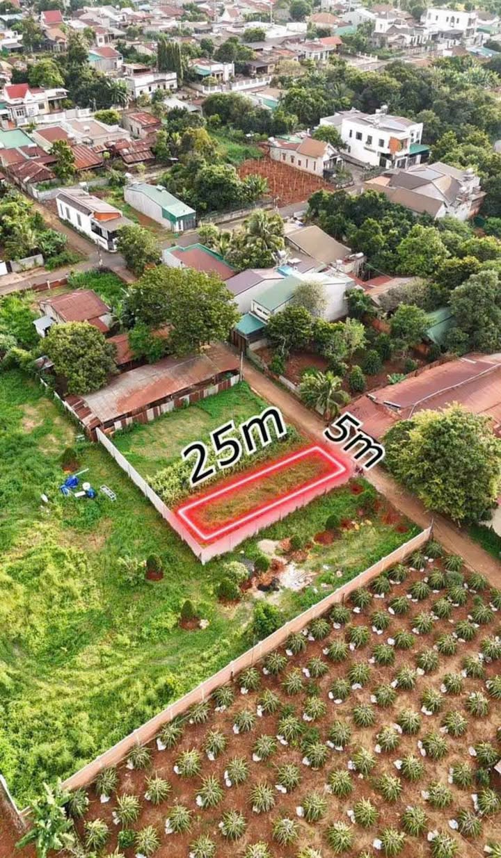 Đất thổ cư Buôn Ma Thuột 125m² giá 1.39 tỷ - Sổ hồng chính chủ, ô tô vào tận nơi!