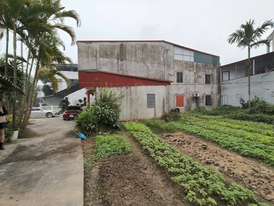 Đất nền Yên Bái 145m² giá 1 tỷ - Ngõ ô tô tránh nhau, gần tiện ích