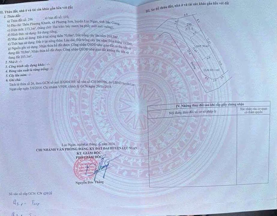 Lô đất 2 mặt tiền Phượng Sơn Bắc Ninh 300m² giá 800 triệu - Cơ hội đầu tư hấp dẫn!