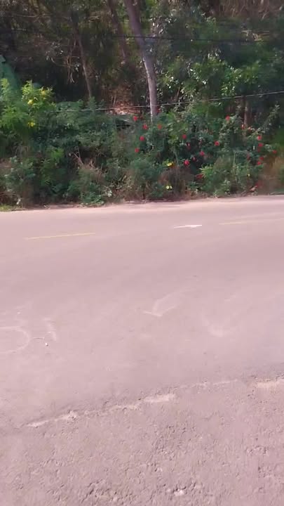 Đất nền Xuân Trường 198m² - Đầu tư lý tưởng gần KDL núi Chứa Chan!