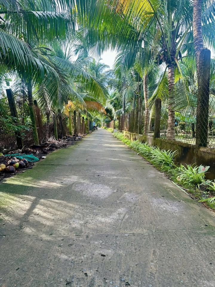 Farm Nhị Bình, Châu Thành, 3000m² giá 1.2 tỷ - Đầu tư sinh lời hiệu quả!