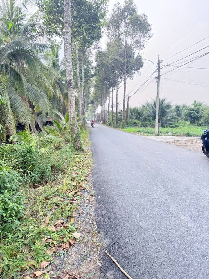 Đất mặt tiền Trần Thị Thơm, Mỹ Tho 173m² giá 1.75 tỷ - Cơ hội đầu tư sinh lời cao!