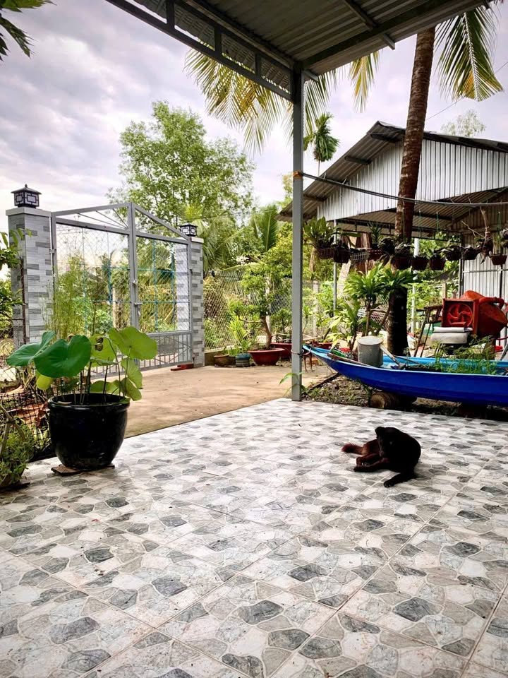 Nhà vườn nghỉ dưỡng Ô Môn 1351m² giá 2.1 tỷ - Chính chủ cần bán gấp!