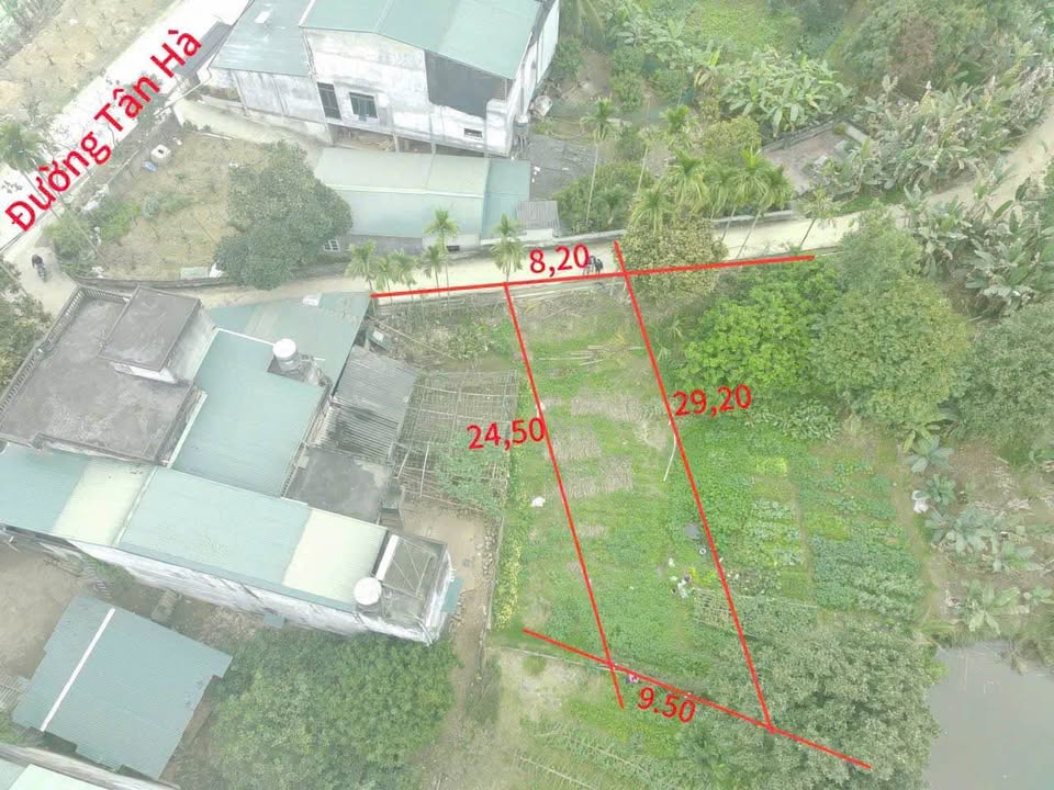 Đất Tân Hà - Tuyên Quang 205m² giá 2 tỷ - Vị trí đẹp, dân cư đông đúc!