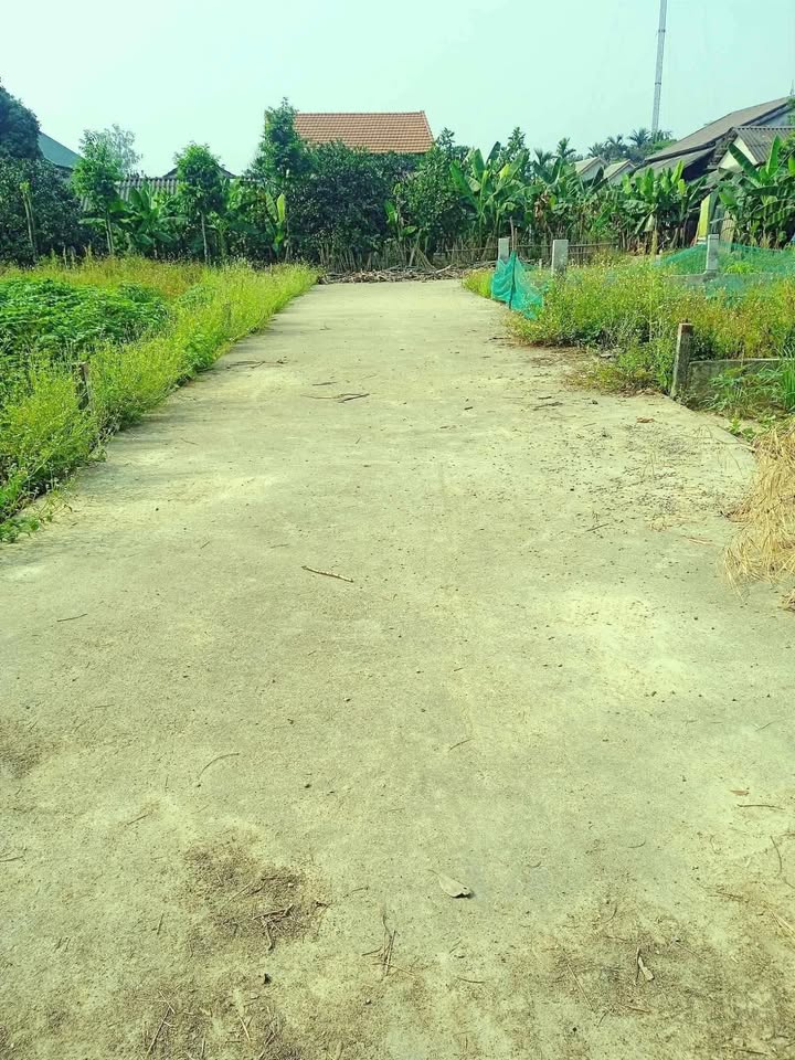 Đất thổ cư Hương Văn Hương Trà 128m² giá 400 triệu - Mặt tiền ô tô, không ngập nước!