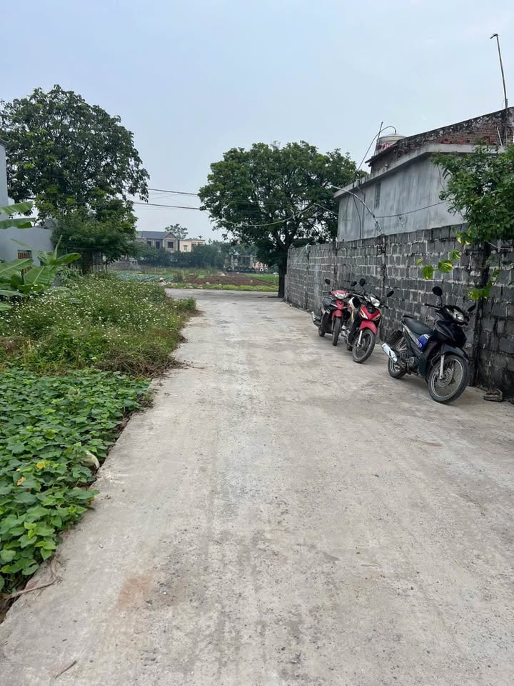 Đất nền Lý Thường Kiệt Ninh Bình 64m² giá 1 tỷ - Cơ hội đầu tư tuyệt vời!